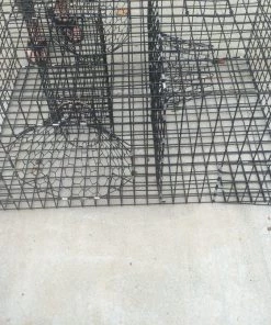 Lobster Port Trap Company Commercial Fish Trap