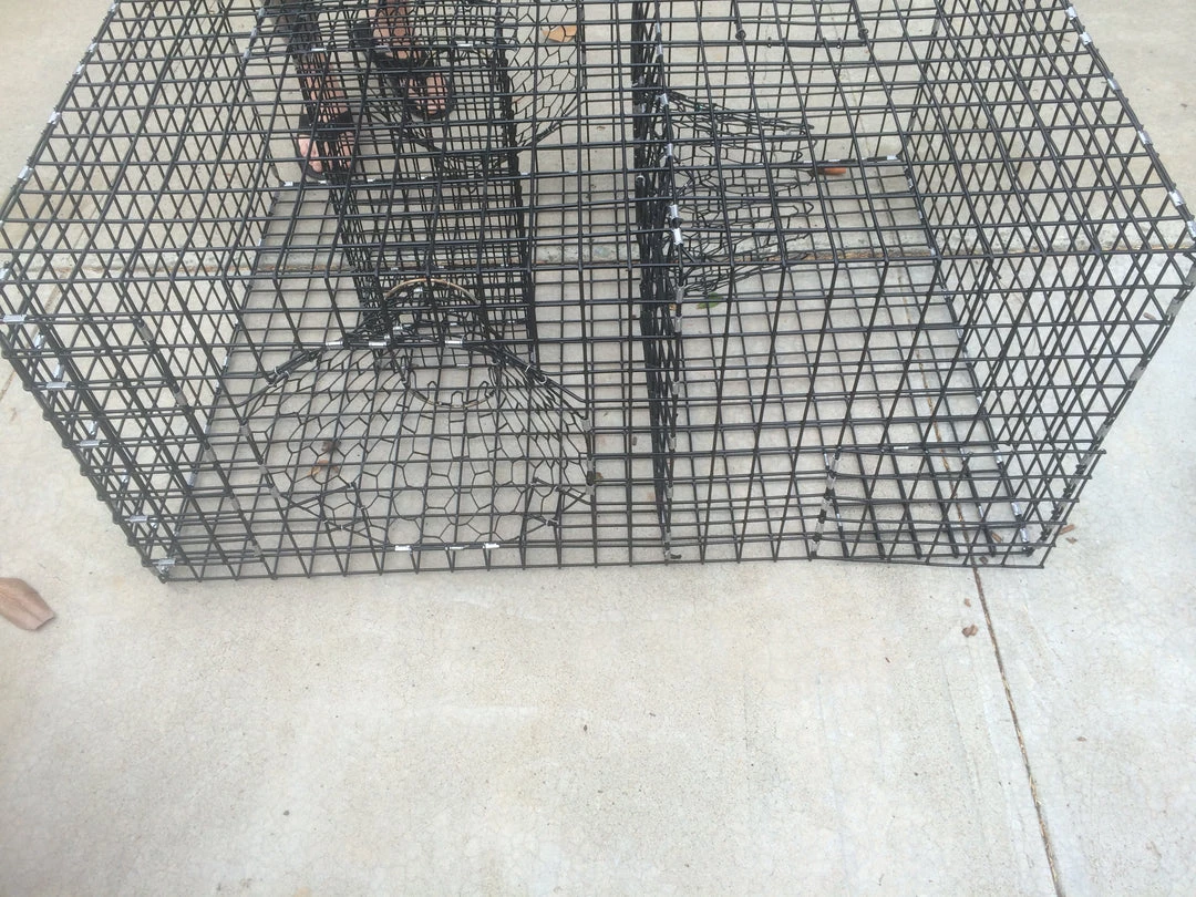 Lobster Port Trap Company Commercial Fish Trap 4 Lobster Port Trap Company Commercial Fish Trap