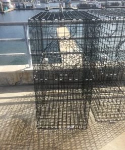 Lobster Port Trap Company Commercial Fish Trap 7 Lobster Port Trap Company Commercial Fish Trap