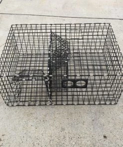 Lobster Port Trap Company Commercial Crab Trap 17 Lobster Port Trap Company Commercial Crab Trap