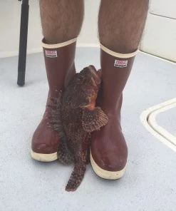 Tingley Rubber FISHING AND OUTDOOR APPAREL Tingley Pylon 12.5" Commercial Fishing Deck Boots 10 Tingley Rubber FISHING AND OUTDOOR APPAREL Tingley Pylon 12.5