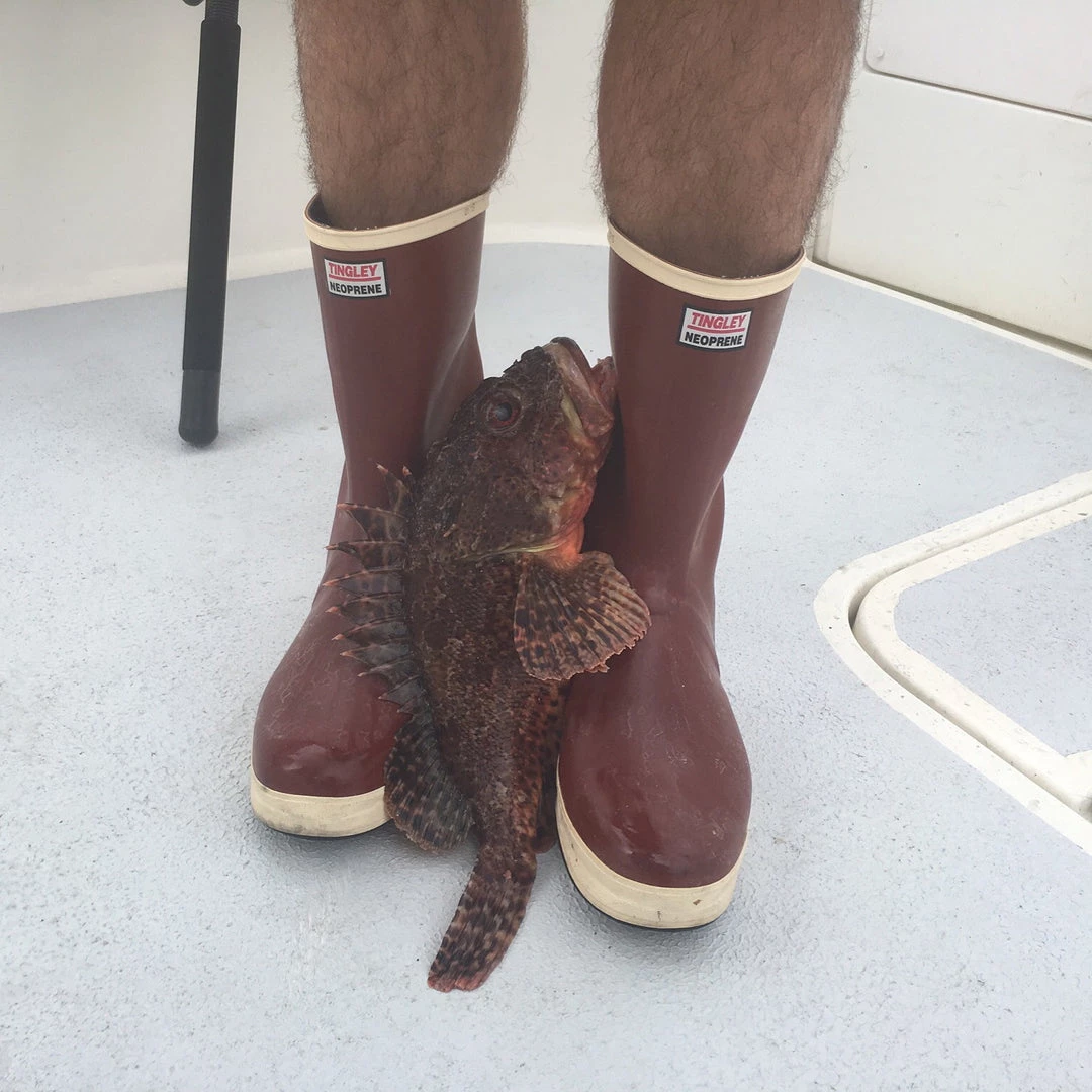 Tingley Rubber FISHING AND OUTDOOR APPAREL Tingley Pylon 12.5" Commercial Fishing Deck Boots 6 Tingley Rubber FISHING AND OUTDOOR APPAREL Tingley Pylon 12.5" Commercial Fishing Deck Boots