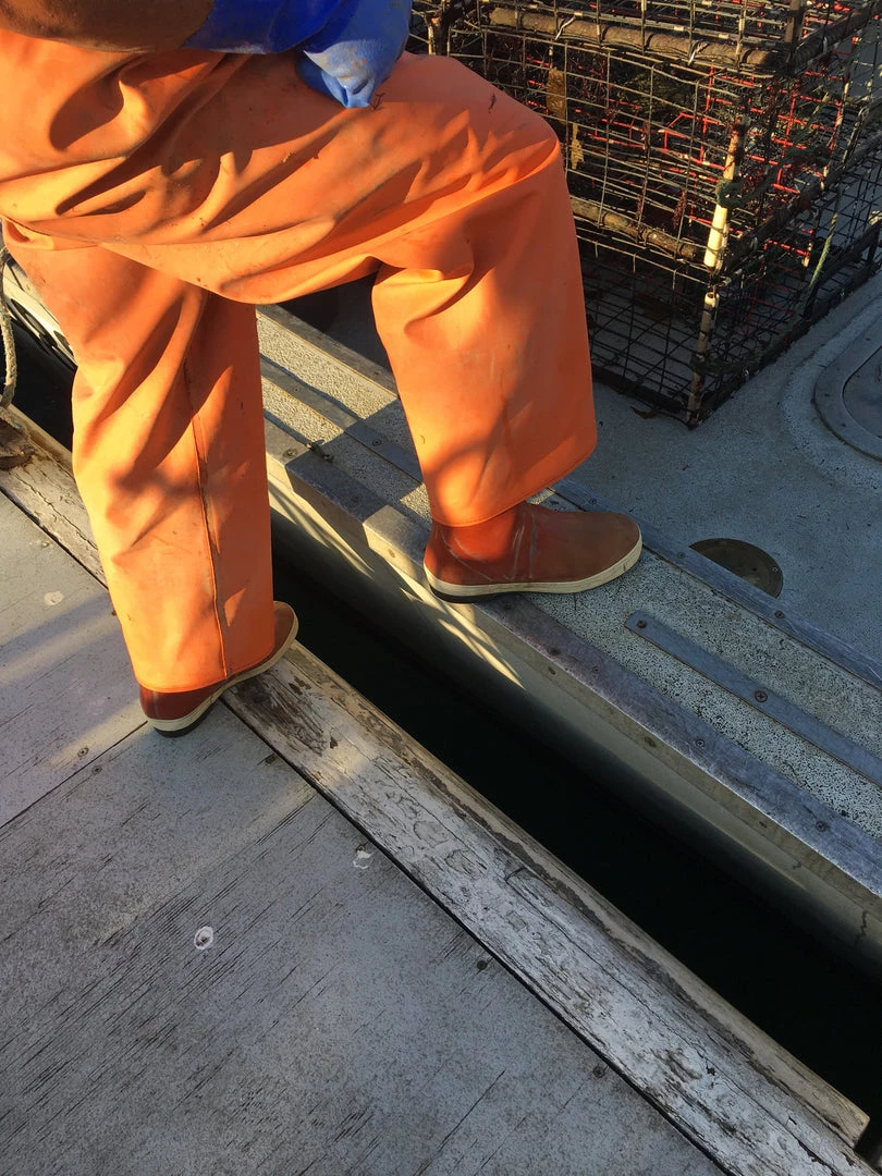 Tingley Rubber FISHING AND OUTDOOR APPAREL Tingley Pylon 12.5" Commercial Fishing Deck Boots 4 Tingley Rubber FISHING AND OUTDOOR APPAREL Tingley Pylon 12.5" Commercial Fishing Deck Boots