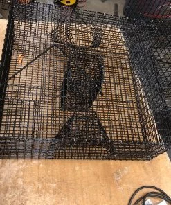 Lobster Port Trap Company 24X24X8.5 Oregon Commercial Coonstripe Shrimp Trap COMMERCIAL FISHING