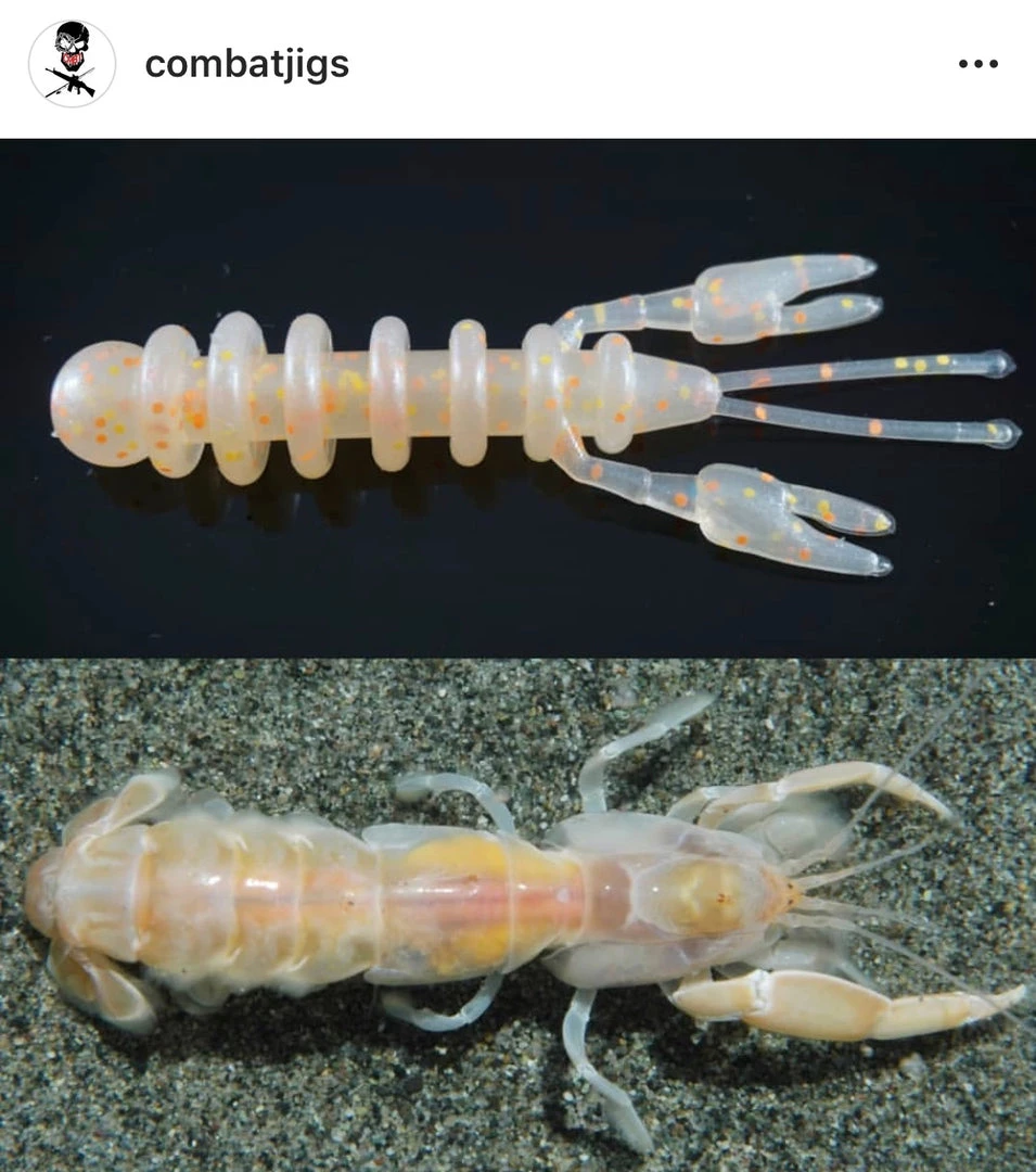 FISHING TACKLE Combat Jigs Hellcraw 3.5 3 FISHING TACKLE Combat Jigs Hellcraw 3.5