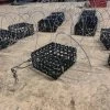 Lobster Port Trap Company Lobster Port Commercial Grade Wire Crab Snare 2 Lobster Port Trap Company Lobster Port Commercial Grade Wire Crab Snare