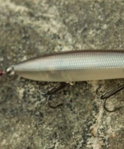 Lucky Craft Gunfish 117 Topwater Lure