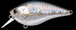 Lucky Craft LC 1.5 Square Bill Crank Bait