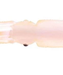 P-Line Rock Cod Rig FISHING TACKLE