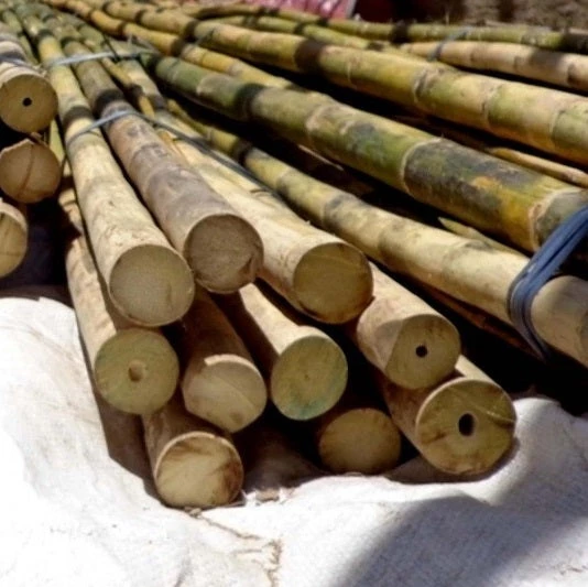 Cogan Marine Supply Calcutta Whole Bamboo Gaff Blanks 3 Cogan Marine Supply Calcutta Whole Bamboo Gaff Blanks